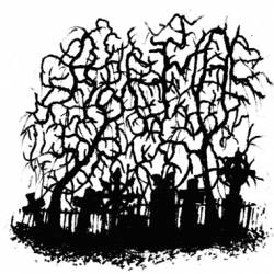 No It Mana Nilighton